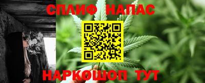 apvp Можга